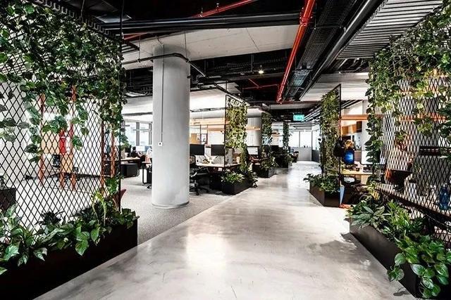 工業(yè)風綠色辦公室設計
