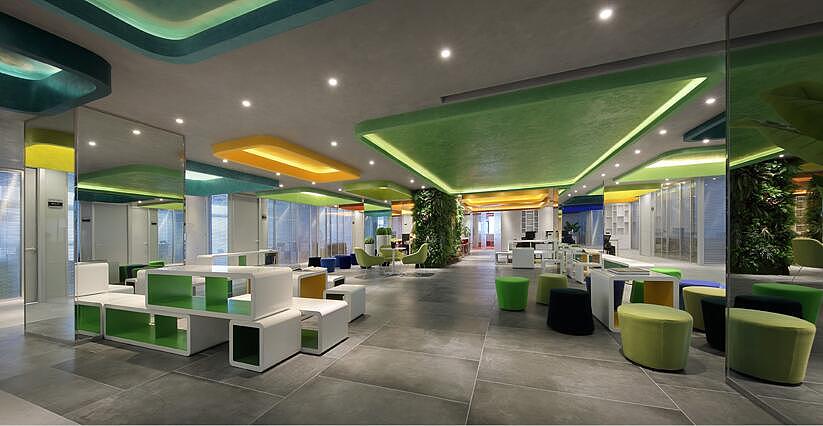 辦公室旺財(cái)?shù)牧N風(fēng)水植物